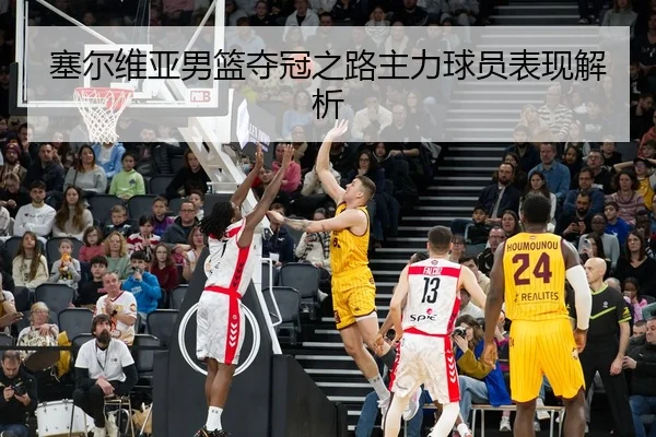 塞尔维亚男篮夺冠之路主力球员表现解析 - Yamei